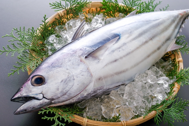 ECサイト制作事例